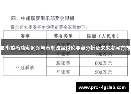 职业联赛降薪问题与赛制改革讨论要点分析及未来发展方向