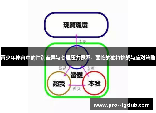 青少年体育中的性别差异与心理压力探索：面临的独特挑战与应对策略